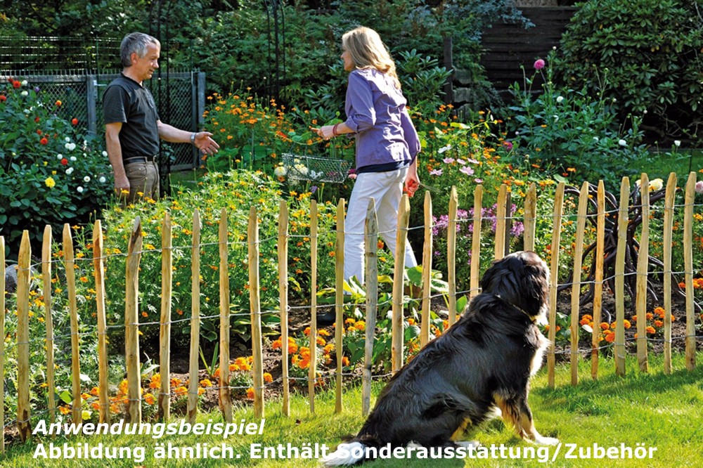 staketenzaun-7 Hiss Staketenzaun Gartenzaun