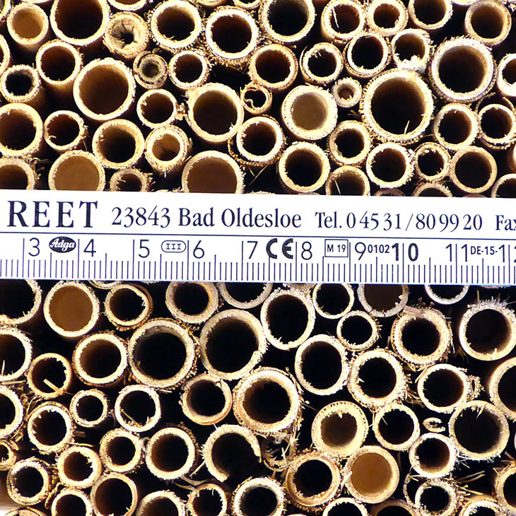 Insektenreet-MEDIUM_DM2_webQo0pDwA7ZE1t6 Hiss Reet für den Bau von Insektenhotels Fertighalme