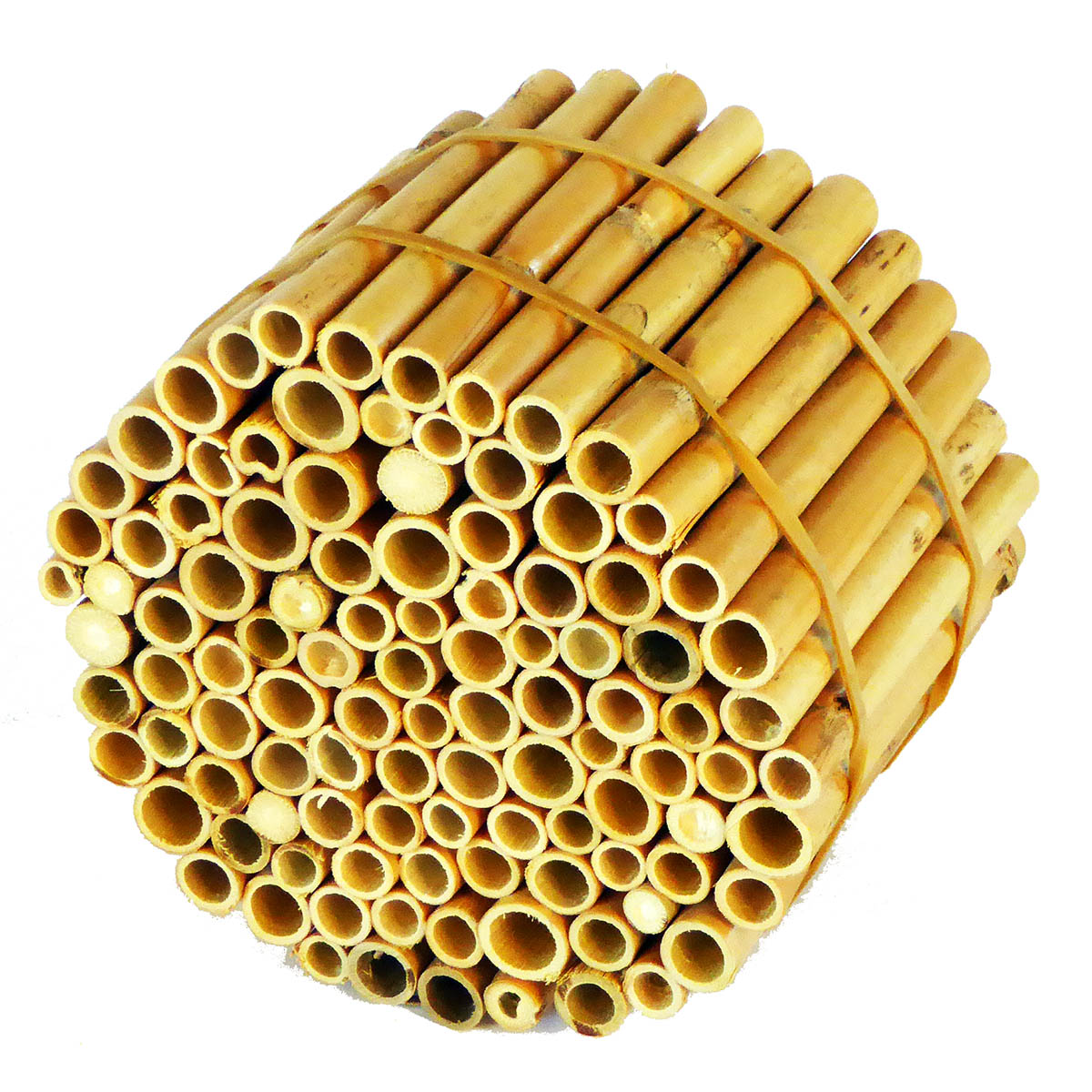 Insektenreet-EXTRA_11_1_webZdQjdpZQxb5c4 Hiss Reet für den Bau von Insektenhotels Fertighalme