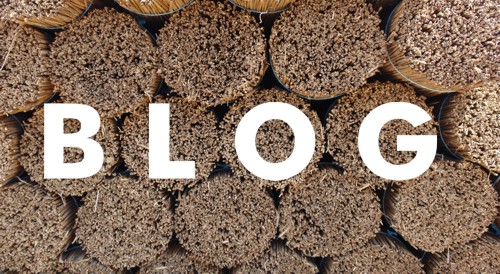 Blog