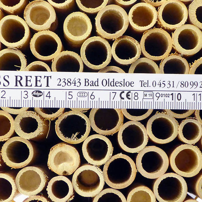 Insektenreet-EXTRA_DM2_webIHrHN39j3de8S Hiss Reet für den Bau von Insektenhotels Fertighalme