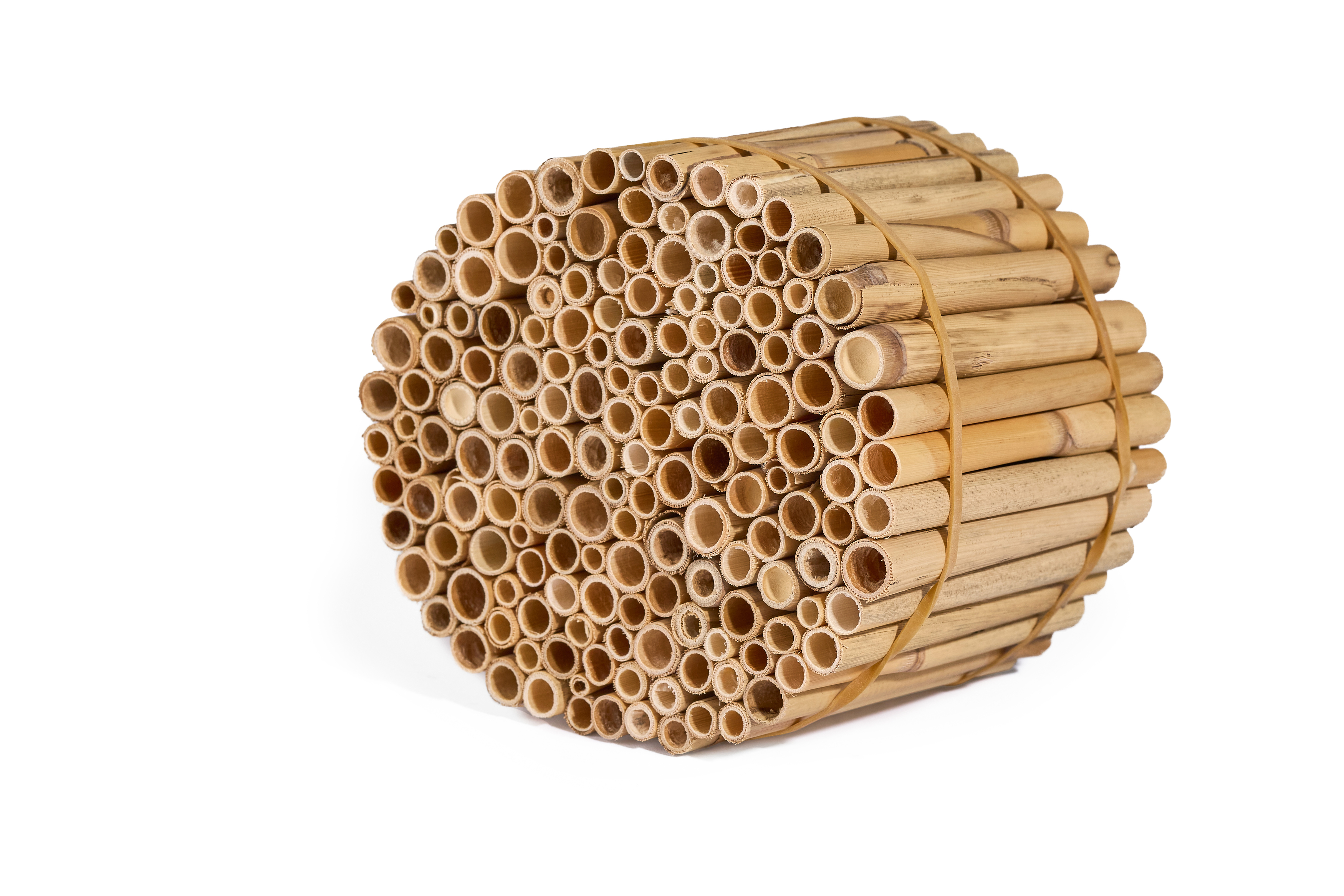 Insektenreet MEDIUM Schilfrohrhalme für Insektenhotel Insektenreet MEDIUM Schilfrohrhalme für Insektenhotel