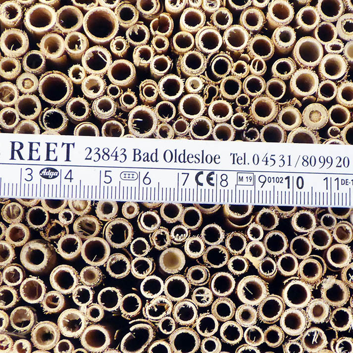 Insektenreet-FEIN_DM2_webRP0m8SStSgeNs Hiss Reet für den Bau von Insektenhotels Fertighalme
