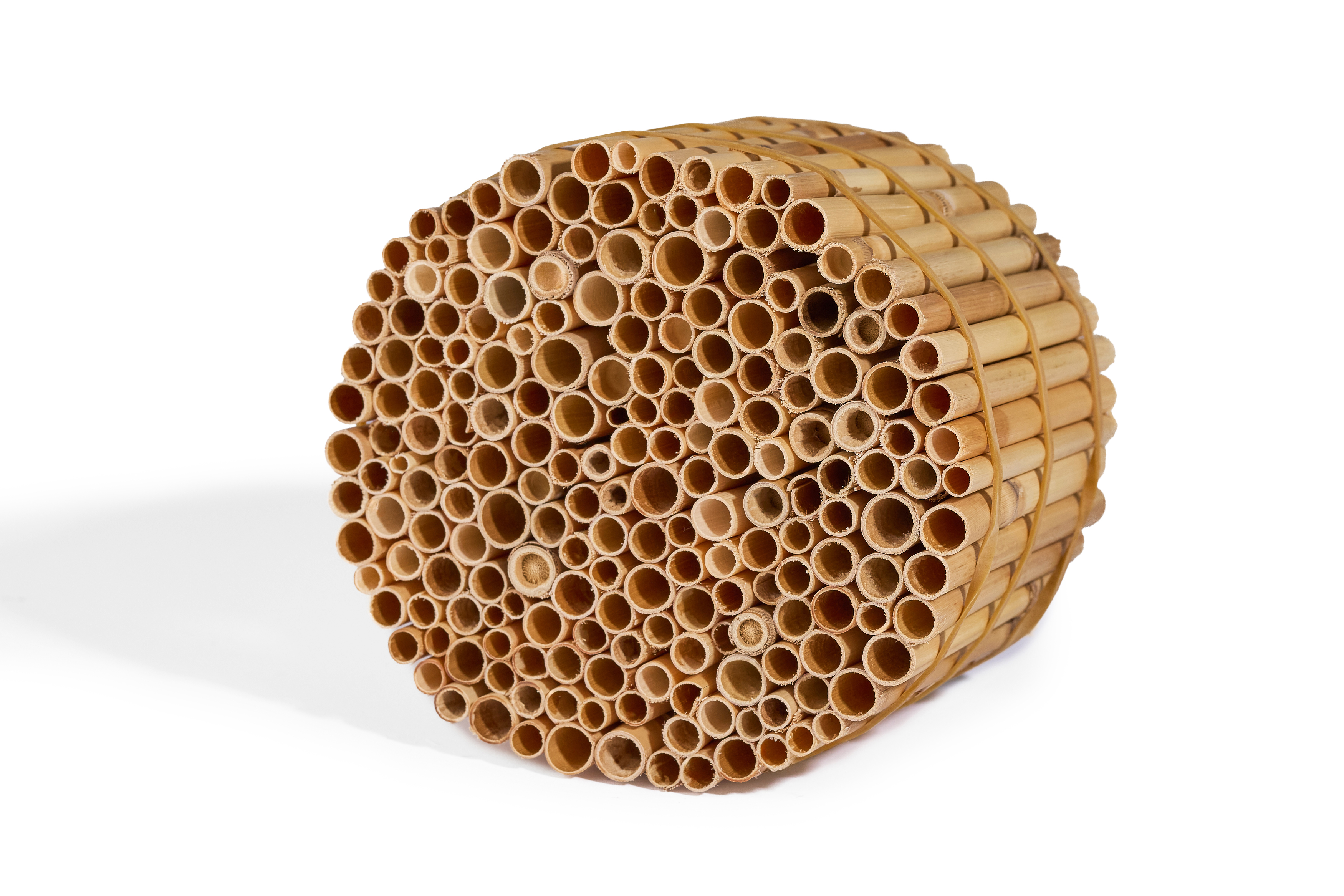 Insektenreet PREMIUM Schilfrohrhalme für Insektenhotel Insektenreet PREMIUM Schilfrohrhalme für Insektenhotel