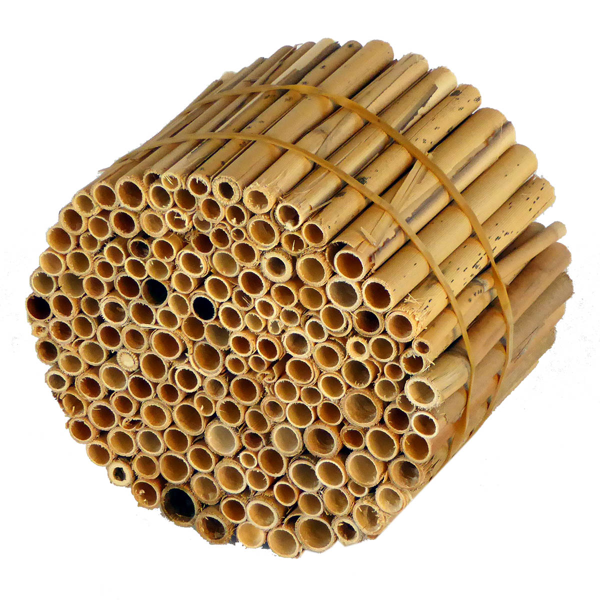 Insektenreet-MEDIUM_11_1_webocuvD8YtxXMkF Hiss Reet für den Bau von Insektenhotels Fertighalme