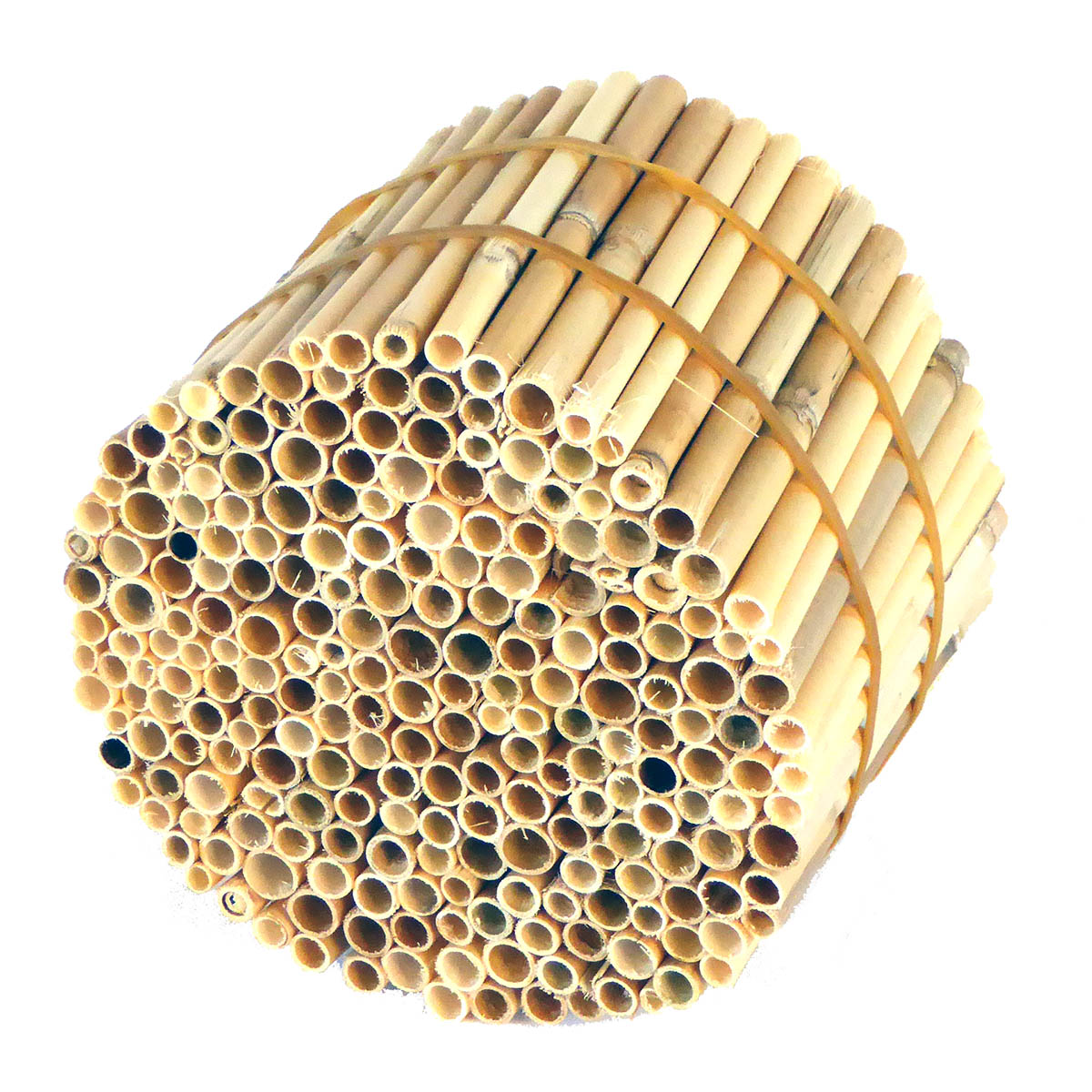 Insektenreet-PREMIUM_11_1_web Insektenreet geschält für Insektenhotels Premium Qualität
