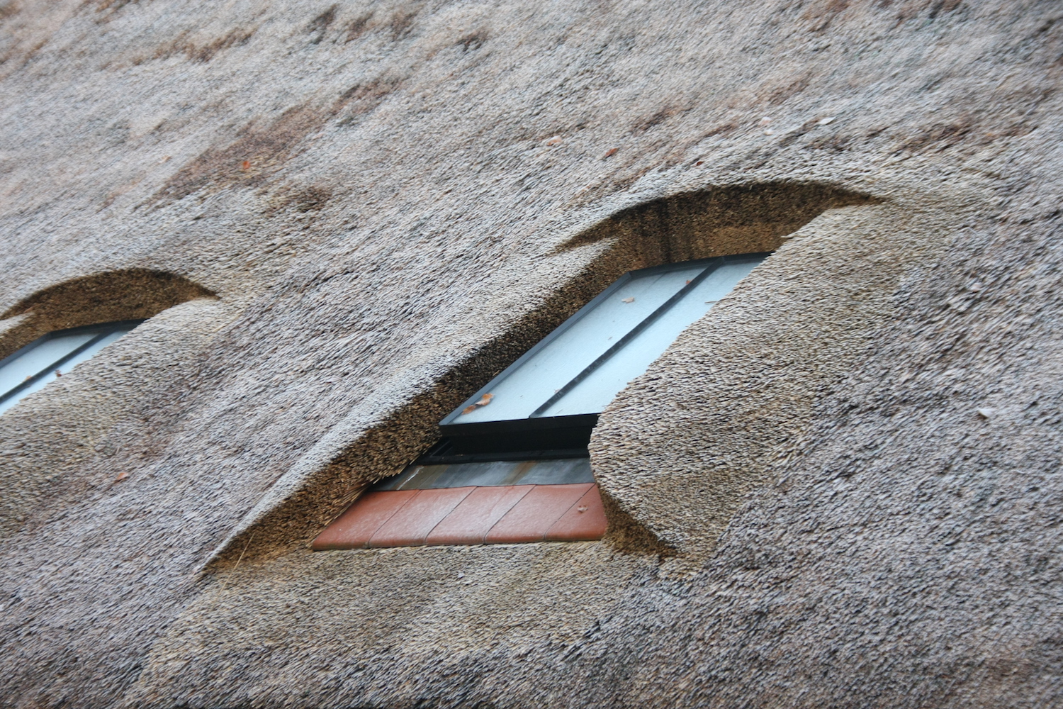 Hiss Reet Dachfenster für Reetdach Industriefenster "alte Dachfenster" "traditionelles Dachfenster" "historisches Dachfenster"